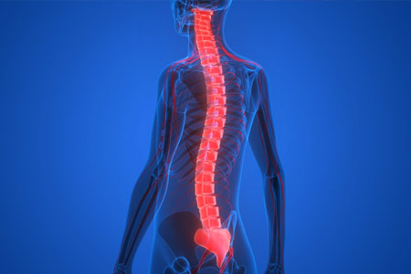 spinal cord injury rehabilitation